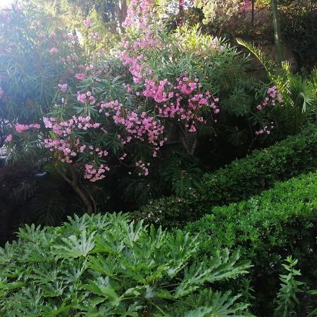 Il Gioiello Nel Parco - Sanremo Apartments 외부 사진